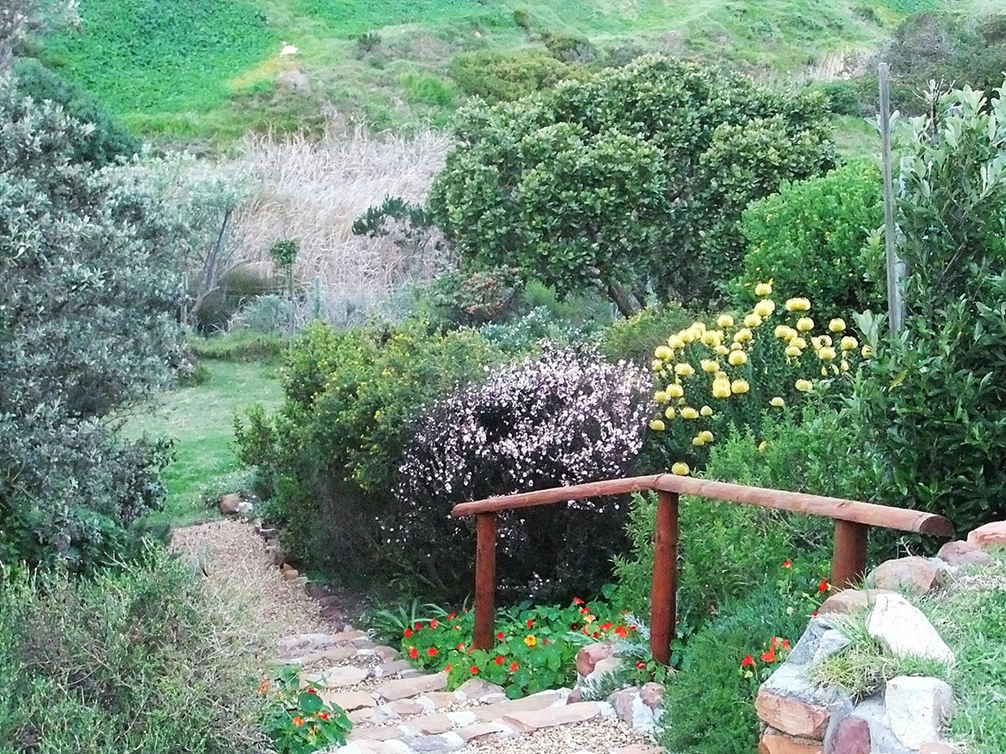 Makapa