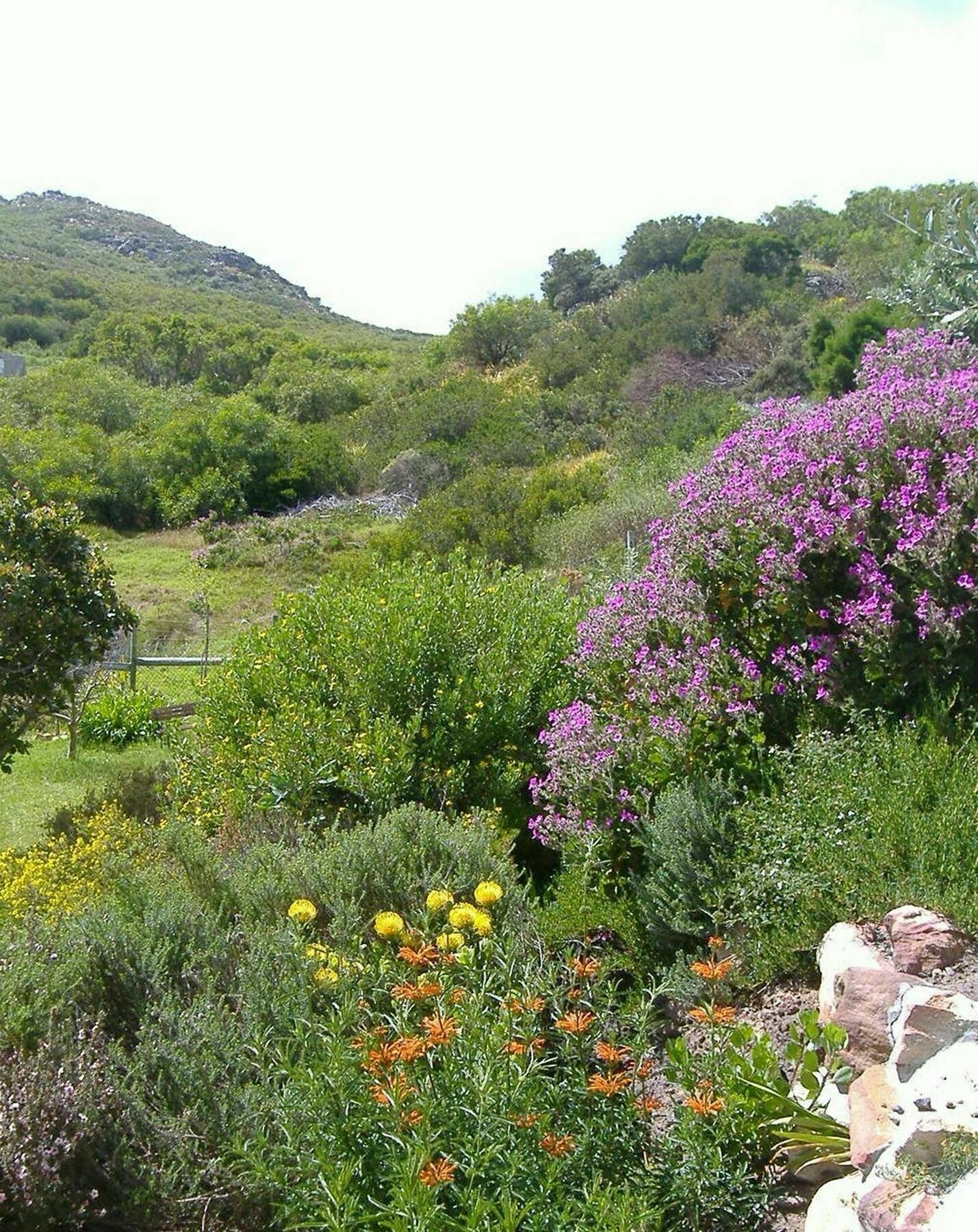 Lodge Makapa