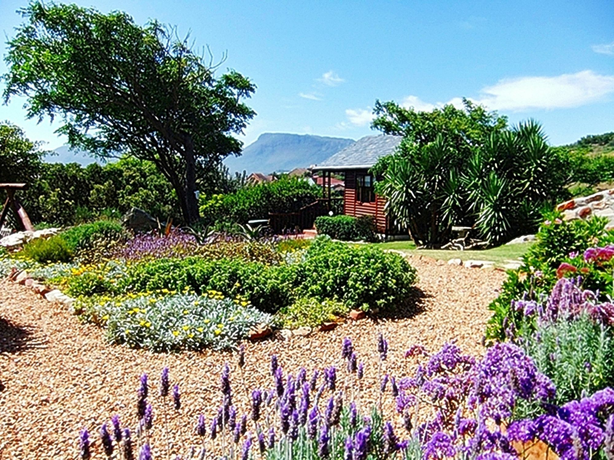 Lodge Makapa Cape Town